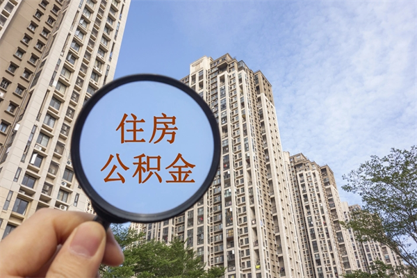 佳木斯离职可以取出公积金吗（离职可以取公积金嘛）